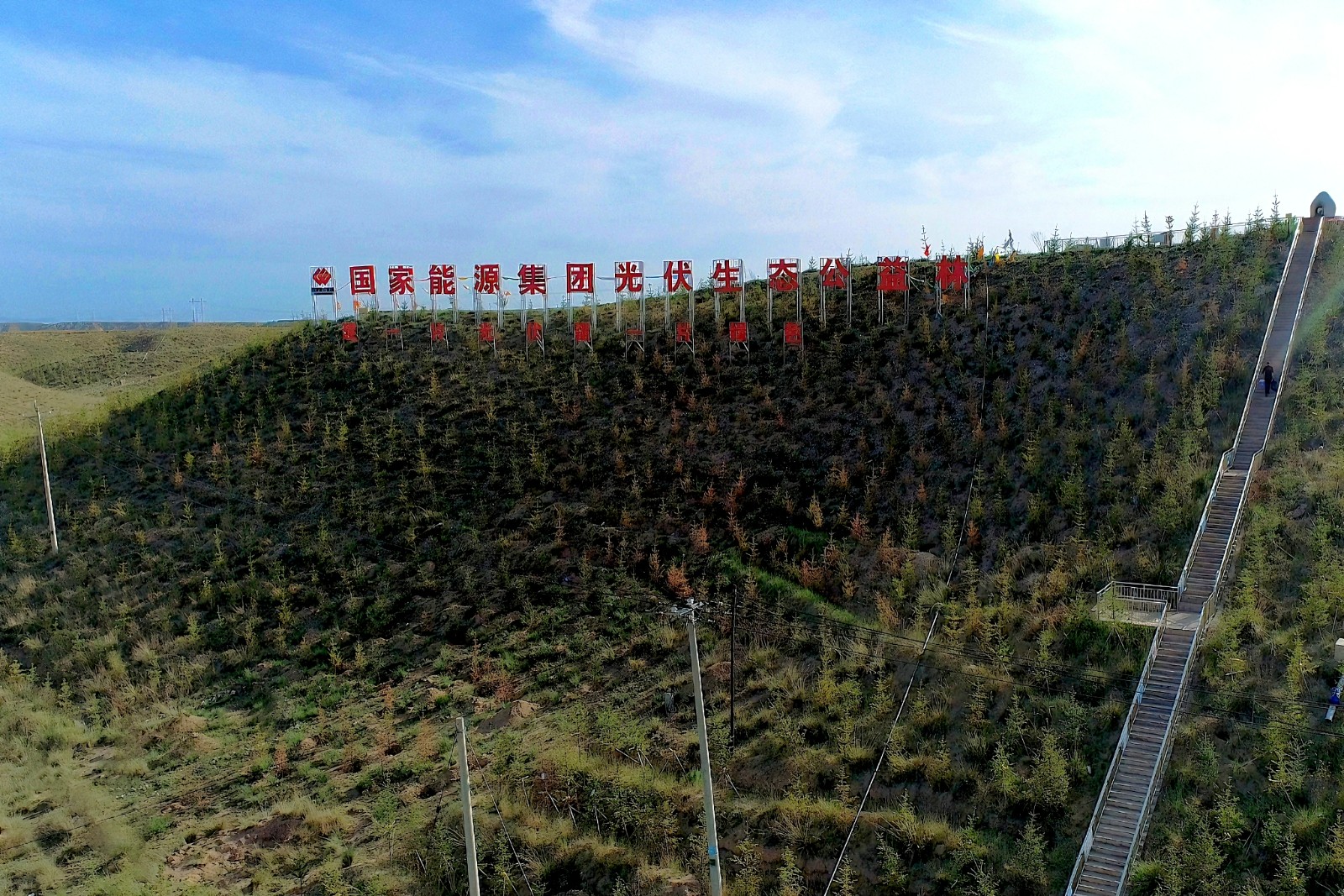 图为公益林航拍图 图为公益林航拍图