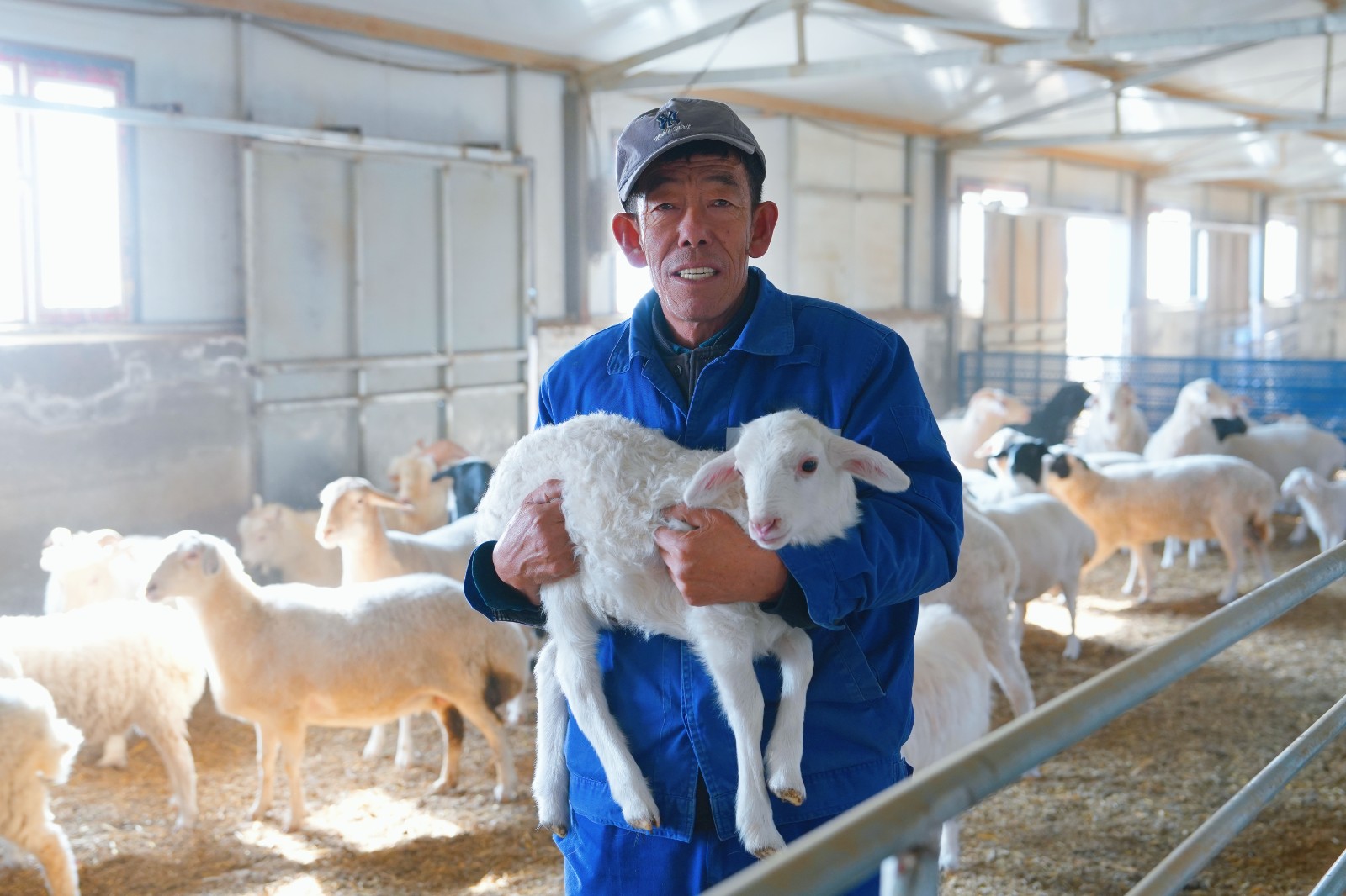 图为新坊村生态羊养殖基地 图为新坊村生态羊养殖基地